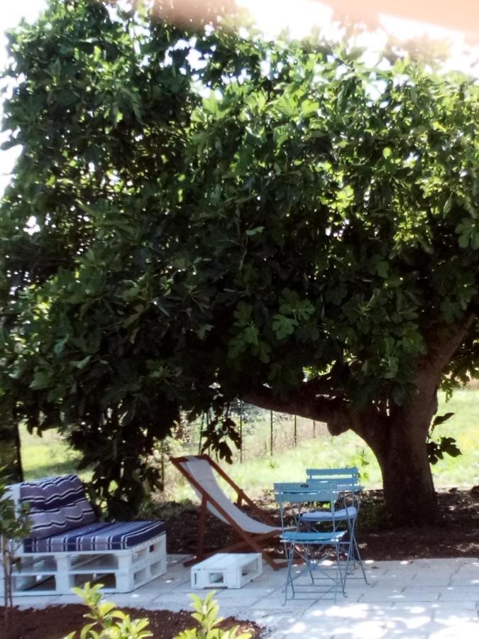 Bed and Breakfast I Fichi Bianchi Cutrofiano Exterior foto