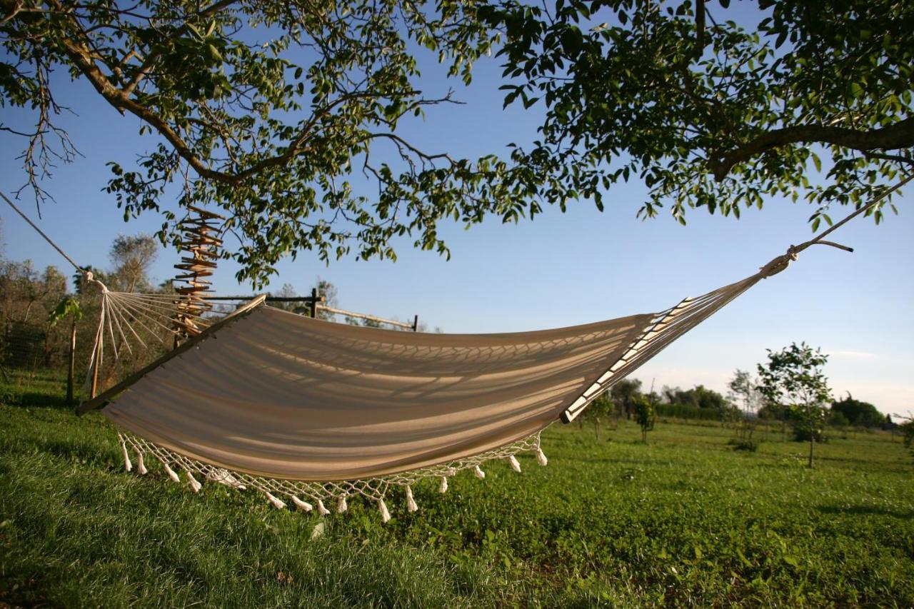 Bed and Breakfast I Fichi Bianchi Cutrofiano Exterior foto